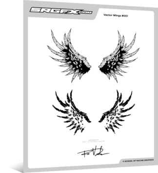 Hand Drawn Vector Wings 001